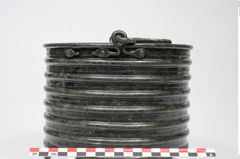 Foto von Bronzerippenziste (NHMW-PRAE-025670)
